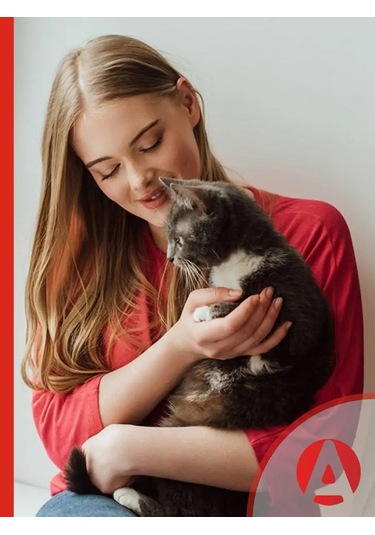 Apicenna Maine Coon Kedi Şampuanı 93370016