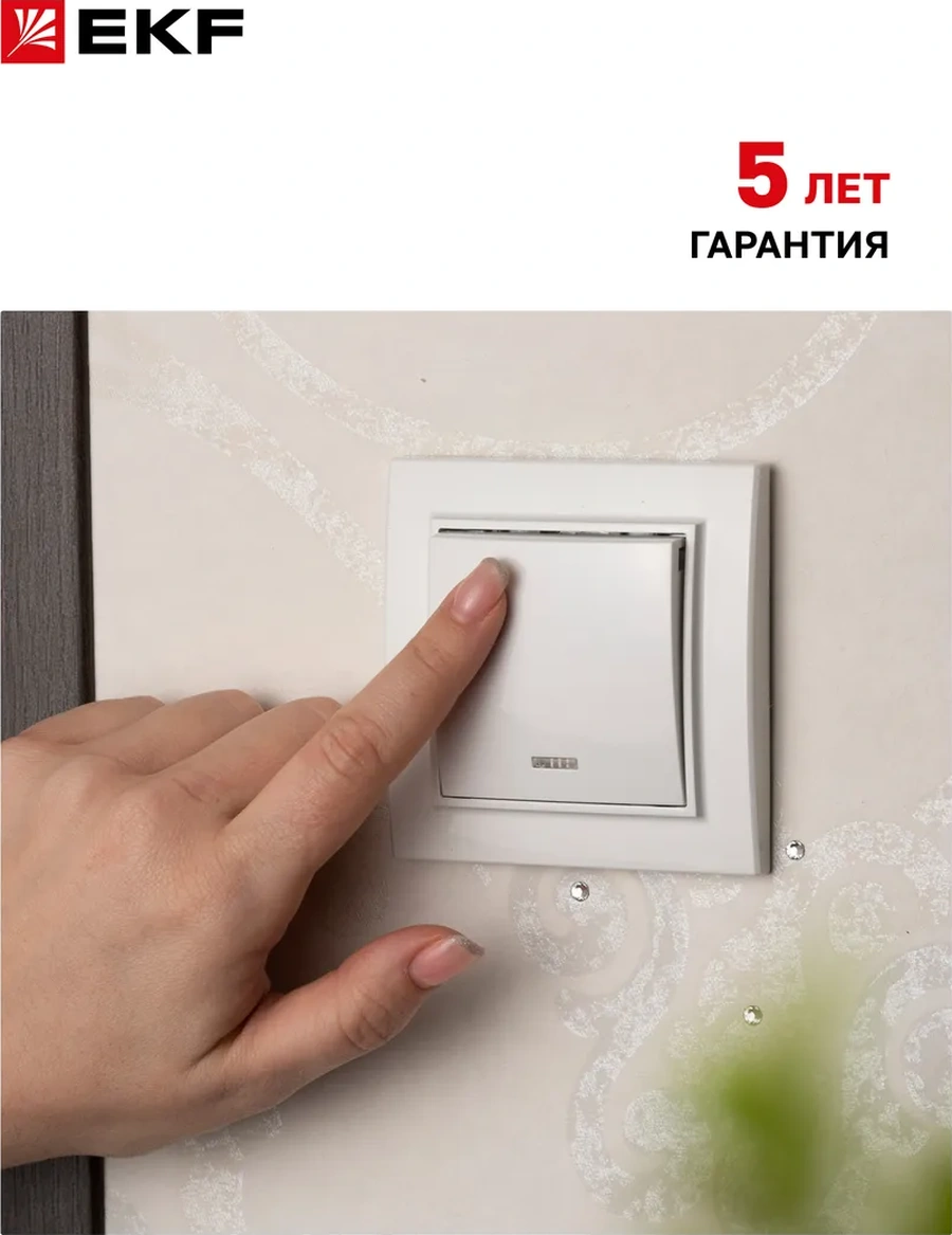 Ekf Belarus Şalterli Tekli Anahtarlı Anahtar 22986695