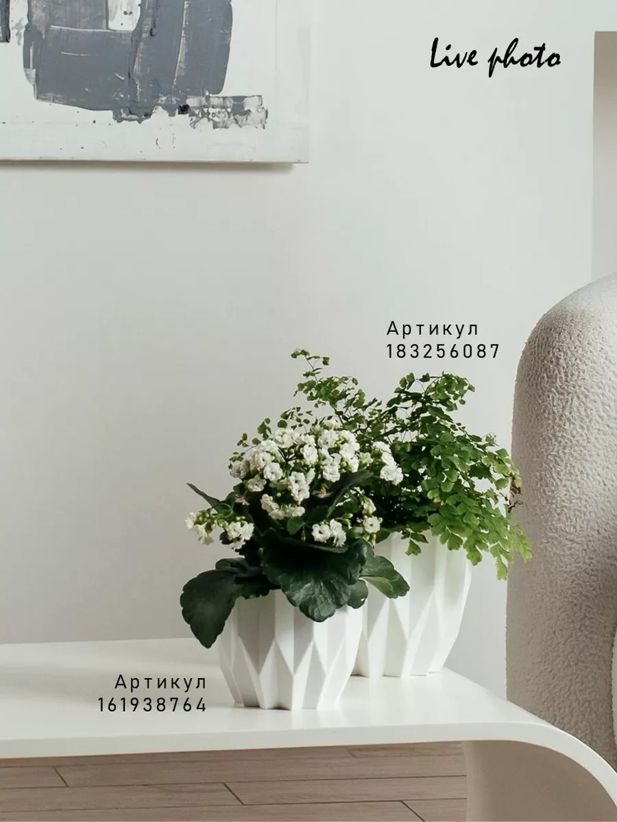 La Decoro Sukulentler İçin Saksı, Menekşe Saksıları, Kaktüs Saksısı. 238664847