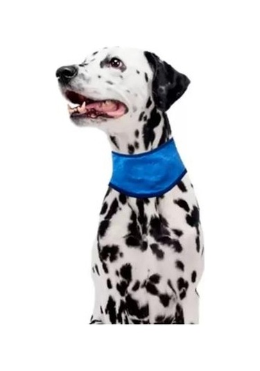 Pawise Soğutucu Köpek Bandanası Xl 53-62 Cm Mavi