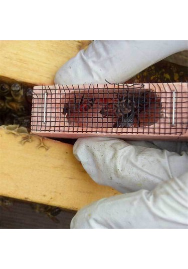 Xurunkeji Ahşap Kraliçe Arı Kafesi, Çok Fonksiyonlu Arı Kovanı Arı Kafesi Yetiştirme Kafesi Hücresi, Arı Kraliçesi Mahkumu, Arıcılık Aletleri