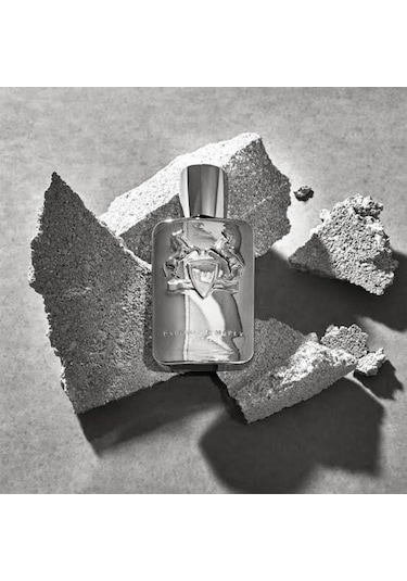 Parfums De Marly Pegasus Edp 125 Ml Erkek Parfümü Oryantal
