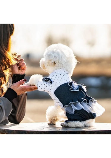 Best Golden Monkey Köpekler İçin Tulum 450280287