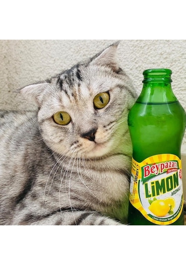 Beypazarı Limon Aromalı Maden Suyu 200 Ml X 24 Adet