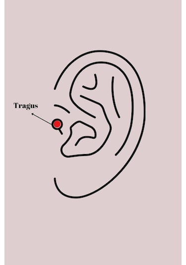 Ceylan Adam 316l Çelik Gold Renk Turuncu Zirkon Taşlı Tragus Piercing Çok Renkli