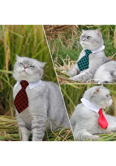 Lemestar Köpek Kedi Yeşil Bağcıklı Yaka Bantı - S Boy 24-30cm Boyun Çevresi - Polyester Pamuk - Fotoğraf, Düğün, Gündelik Kullanim