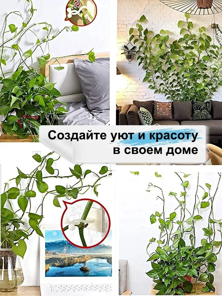 Greduha Bitki Dikimi İçin Duvar Tipi 20 Adet Klipsli Bitki Desteği 169153435