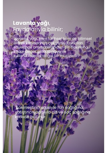 Tto Thermal Lavanta Yağı 10 Ml