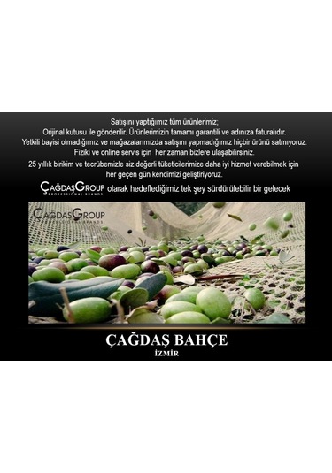 Cifarelli SC 800 Zeytin Ağaç Silkeleme Hasat Makinesi