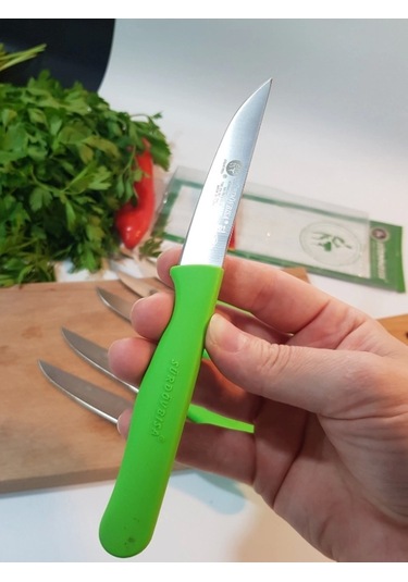 Sürdövbisa 61010 6'lı Meyve Seti Sivri Uç Yeşil Çok Renkli