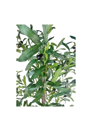 Yapay Zeytin Ağacı 130cm İki Gövdeli Beyaz Küre Saksıda Salex Doğal Gerçek Görünümlü Yapay Ağaç
