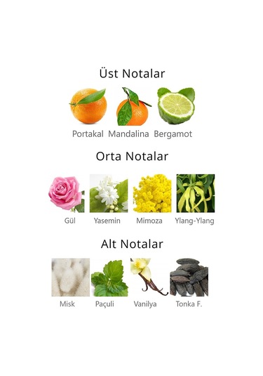 Royal Club De Polo Barcelona RPCN001004 Menta Kaset Kadın Parfüm EDP 40 ML