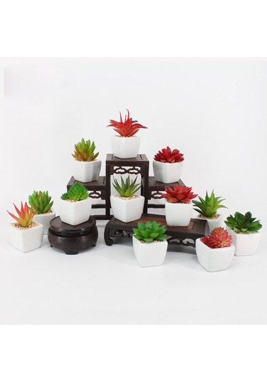 Xiyyadms Dıy Yapılandırılabilir Simülasyon Sukulent Bitki Seti - Bakım Gerektirmeyen Ev Dekorasyonu Duvar Yeşilliği