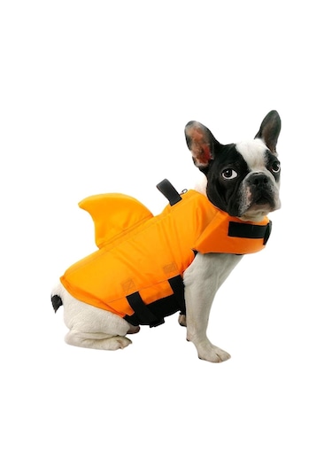 Lion Shark Köpek Can Yeleği L