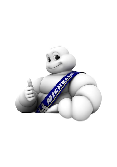 Michelin Mc12204 Basınç Göstergeli Ayak  Pompası