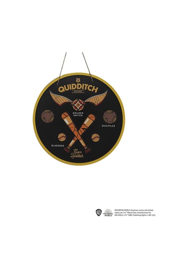 Wizarding World Harry Potter 3d Wall Sign Team Quidditch Wsd030