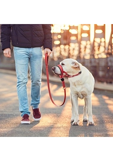 Elmpaly Kırmızı Xl Rahat Köpek Başlığı, Ayarlanabilir Tasmalı Antrenman Yürüyüş Yeleği