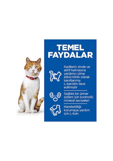 Hill's Science Plan Somonlu Kısırlaştırılmış Yetişkin Kedi Maması 8 KG + 2 KG Mama