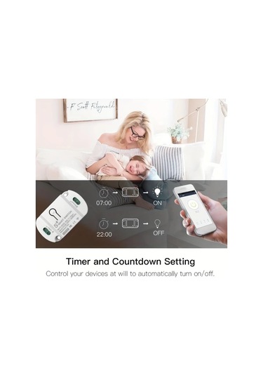 16a Wifi Akıllı Anahtar, 10a / 16a Kablosuz Uzaktan Kumanda İle Dweet Akıllı Yaşam Uygulaması Ve Alexa Google Ev