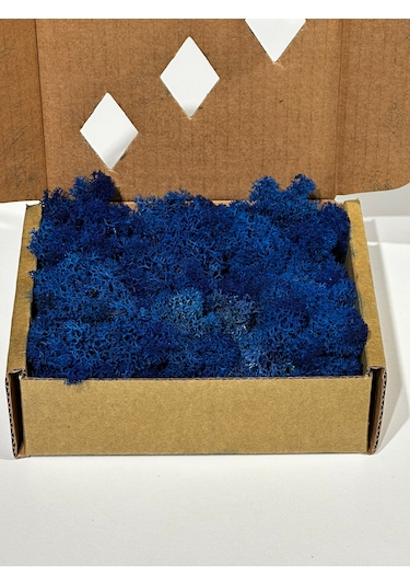 Reindermoss Şoklanmış Norveç Yosunu Terarium Yosunu Mavi 100 Gr.