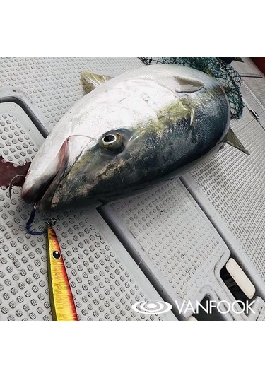 Vanfook Spear Tekli Assist Iğne Sa-60  5/0 3 Adet