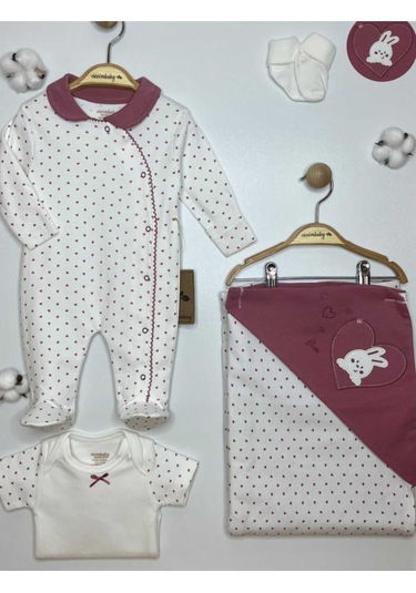 Kalpli Tavşan 4 Lü Set Rose