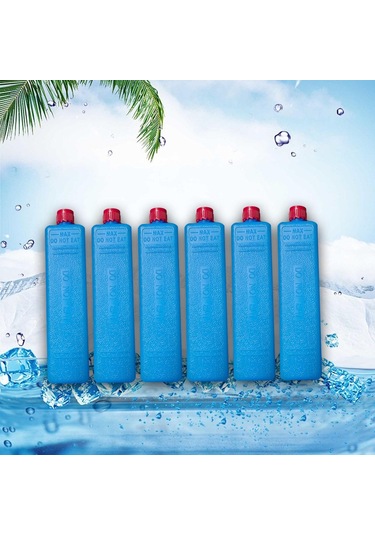 Dolıty 6x Buz Kutuları Dondurucu Blokları Çok Fonksiyonlu Mavi