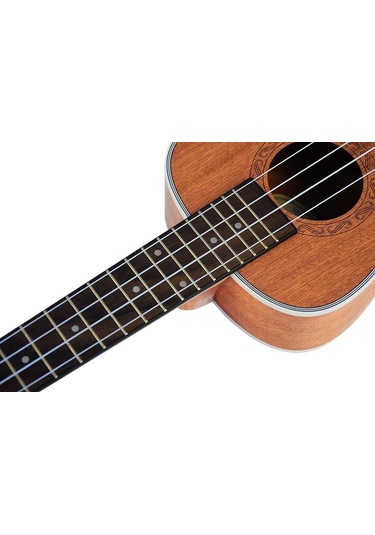 Tayste Tuk200-24 Concert Ukulele