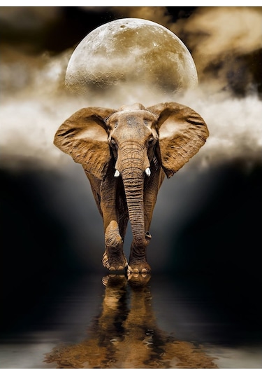 39416 Clementoni. Elephant. 1000 Parça Puzzle