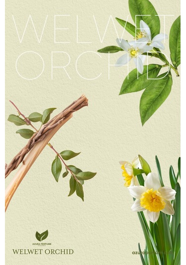 Azura Prestige Niche Welwet Orchid Unisex Parfüm EDP 100 ML