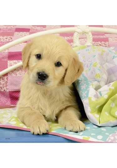 Ravensburger 3x49 Parça Puzzle Puppies 080656