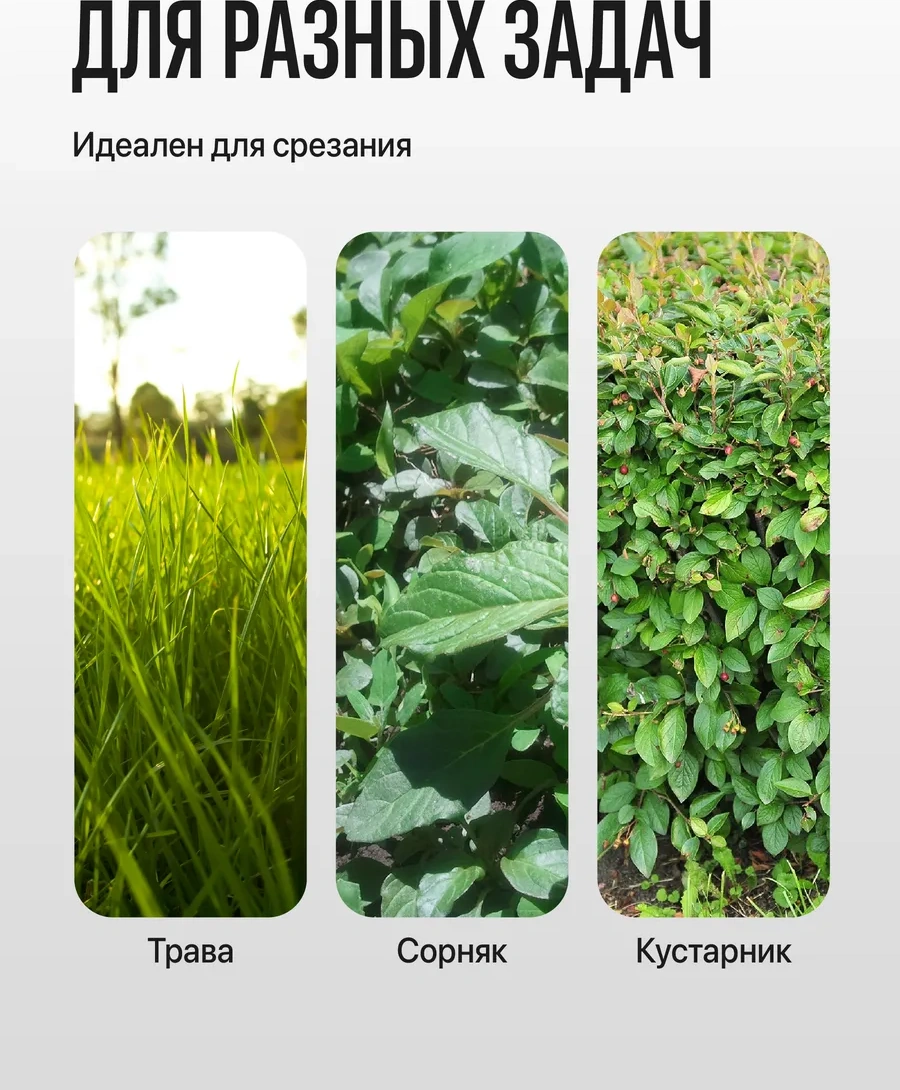 Birdhouse Bıçaklı Trimmer Diski 391058620