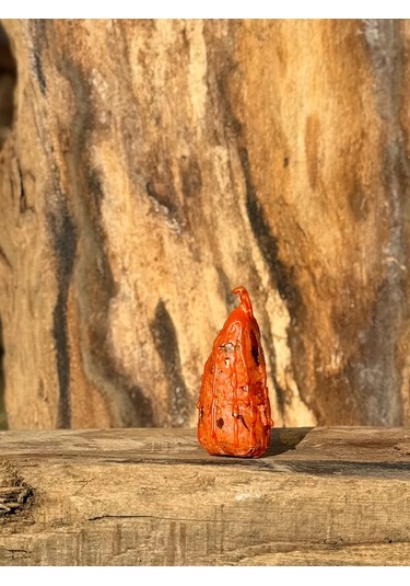 Plama Feniksa Büyülü Mum "aşk Ateşi" 224063774 Kirmızı