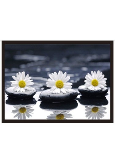 70Cmx100Cm Taşların Üzerinde Papatyalar Poster Tablo