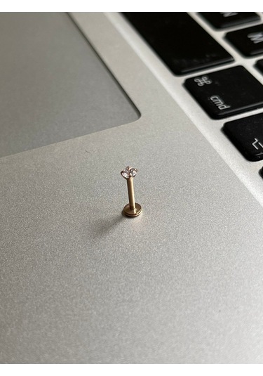 316 Cerrahi Çelik Tragus Helix Kıkırdak Conch Minimal Tek Taş Piercing Rose