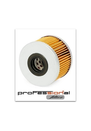 Sıon Mazot Fıltresı Clıo Kangoo Megane Laguna Scenıc Trafıc 1,9dcı AOD-SION SM3513