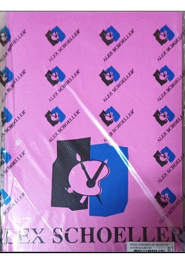 Alex Schoeller Fon Kartonu 160 Gr A4 1 Paket