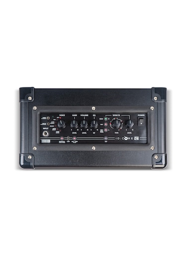Blackstar Idcore V4 10 Dijital Amfi-jak Kablo-fender Pena Hediye