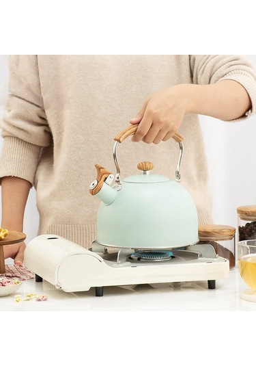 2.5l Islık Su Isıtıcısı Çay Isıtıcısı Paslanmaz Çelik Yeşil Su Isıtıcısı Su Kaynar