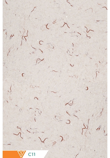 Canlı Sıva Krem C11 Ventrawall