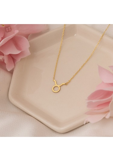 Dkmn Gümüş Burç Kolye