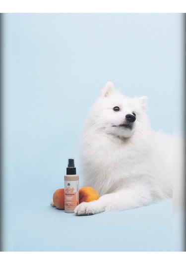 Lıssılandıa Evcil Hayvanlar İçin Parfüm. Bal Şeftalisi 419919633