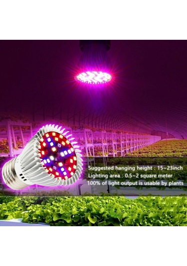 İç Mekan Bitkileri, Organik Hidroponik Ve Sera A+ İçin Tam Spektrumlu, Yetiştirme Işığına Sahip 4'lü E27 10w Led Ampul