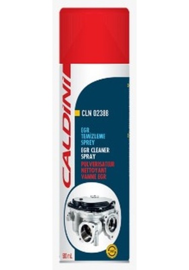 CALDİNİ - EGR TEMİZLEME SPREY (500ml)