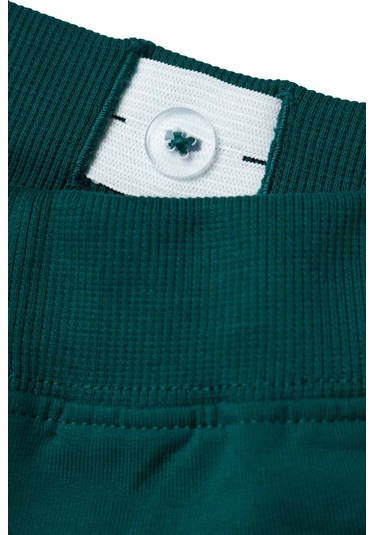 Name It Nmmdıkan Nreg Shorts Unb Yeşil Erkek Çocuk Şort Yeşil