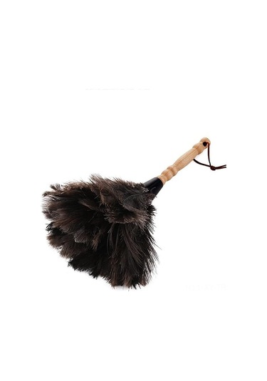 Shineyee Doğal Devekuşu Tüyü Toz Alıcı, Ahşap Saplı Ev Temizlik Fırçası