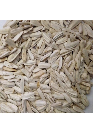 Doğal Beyaz Çerezlik Çitlemelik Ayçiçeği Çekirdek Tohumu 40 Tohum