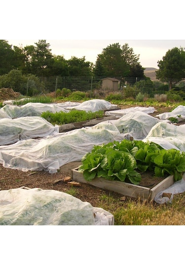 12,8x5 Metre 50gr Agril Isı Don Örtüsü, Zirai Don Kırağı Örtü Karpuz Çilek Örtüsü, Sera Toprak Örtüsü Elyaf Bitki Koruma Örtüsü