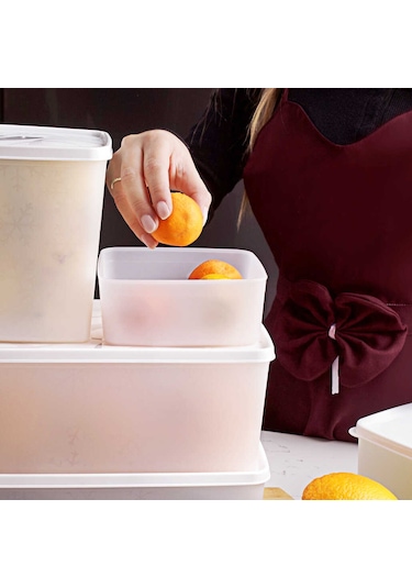 Porsima 1155 Alaska No Frost -20°C 6'lı Dondurucu Saklama Kabı