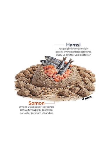 Obivan Kitten Somonlu Ve Hamsili Yavru Kedi Maması 2 Kg